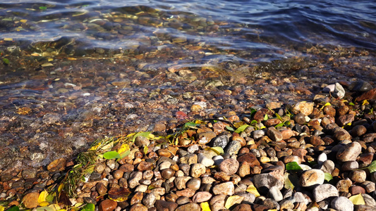 自然背景岸边和水面有岩石视频