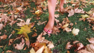 赤脚女人在秋天阳光明媚的秋天在秋林中行走14秒视频