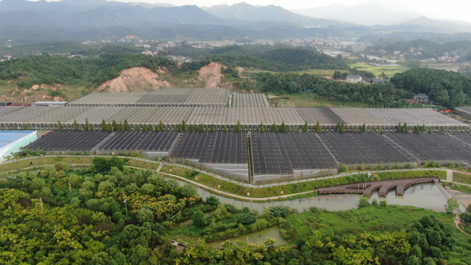 现代农业大棚种植基地航拍视频