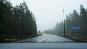 雨季秋季道路18秒视频