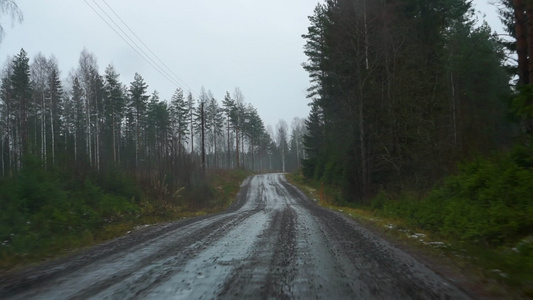 秋天在芬兰的碎石路驱动器中视频