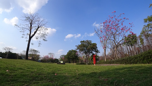 蓝天春暖花开草地16秒视频