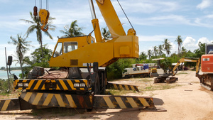 在热带森林中工作的建筑机械黄色起重机在热带地区砍伐17秒视频
