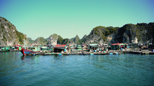 河长湾的渔村13秒视频