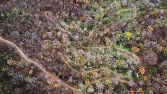 山上骑脚踏车者在秋天的森林小径上登山视频