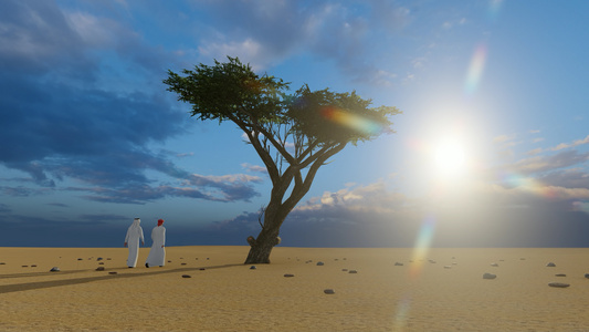 日落时阿拉伯男子在沙漠中单树附近行走3D视频