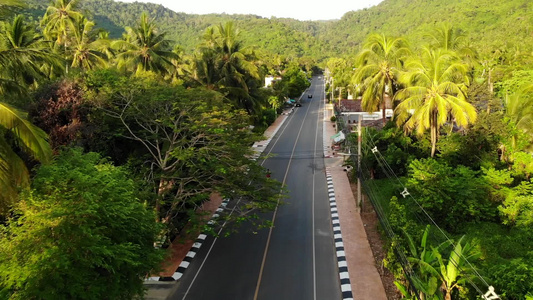 穿过定居点和丛林的沥青路柏油路穿过苏梅岛天堂岛上的视频