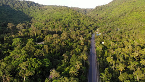 穿过定居点和丛林的沥青路穿过苏梅岛小型典型定居点和21秒视频