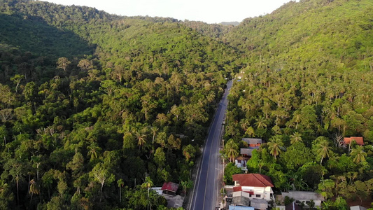 穿过定居点和丛林的沥青路穿过苏梅岛小型典型定居点和视频