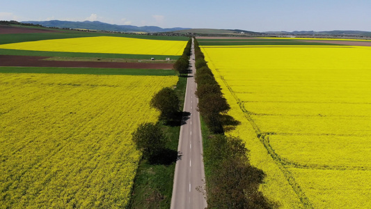 在场之间的美丽道路上飞行空中观察场的行进情况请看路面视频