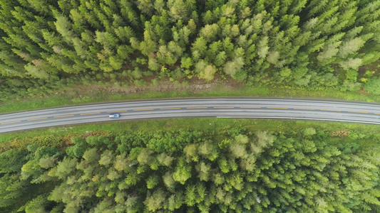 夏日汽车在挪威绿色针叶林的乡间小路上行驶空中垂直俯视图视频