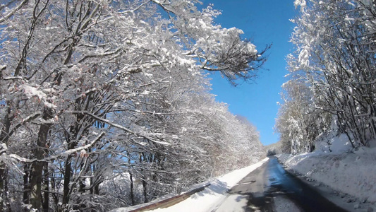 美丽的冬季自然第一视角车辆驱动器阿尔卑斯山雪地森林常青树视频