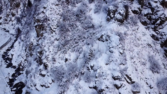 雪山冬季森林和有汽车的公路视频