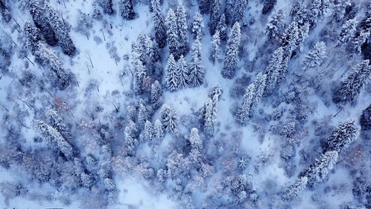 雪山冬季森林和有汽车的公路视频