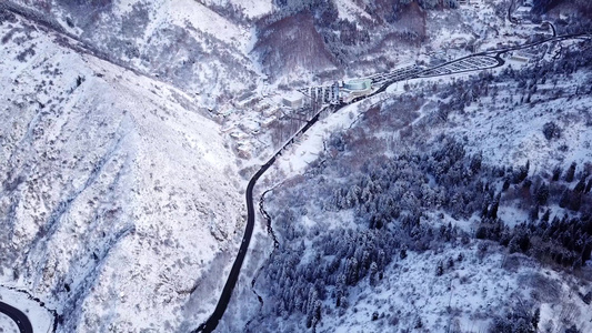 雪山冬季森林和有汽车的公路视频