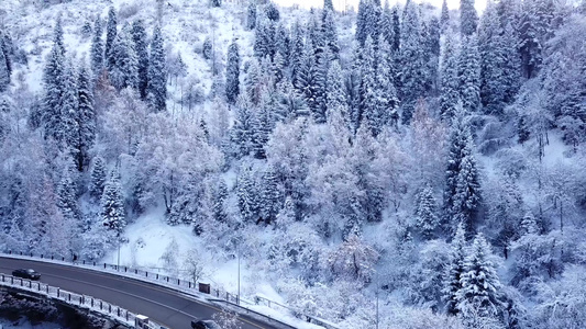 雪山冬季森林和有汽车的公路视频