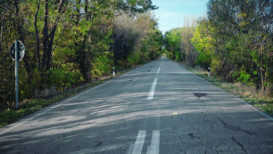 农村公路上带树道隧道的快速体育快车视频