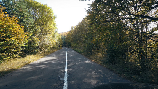 秋黄树间山间乡村公路行驶的车辆视点视频