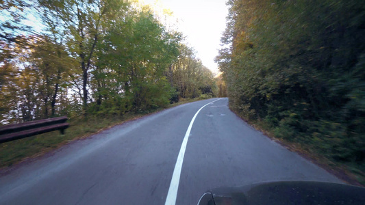 秋黄树间山间乡村公路行驶的车辆视点视频