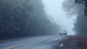 浓雾山路10秒视频