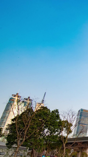 上海地标三件套环球金融中心下班人流延时摄影高楼大厦20秒视频