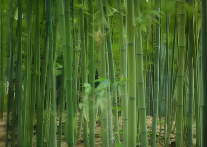 草木绿春天植物花草树木竹林视频