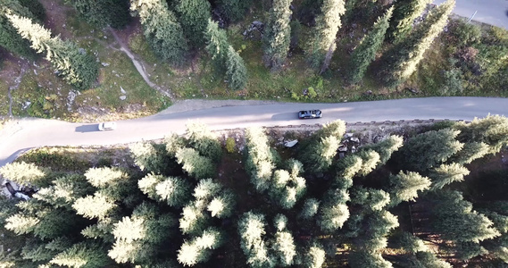 汽车在森林的一条路上行驶空中飞行视频