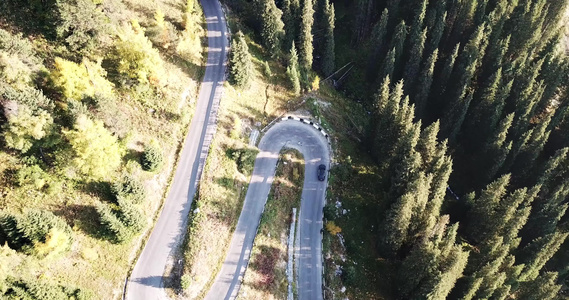 汽车在森林的一条路上行驶空中飞行视频