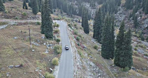汽车在森林的一条路上行驶空中飞行37秒视频