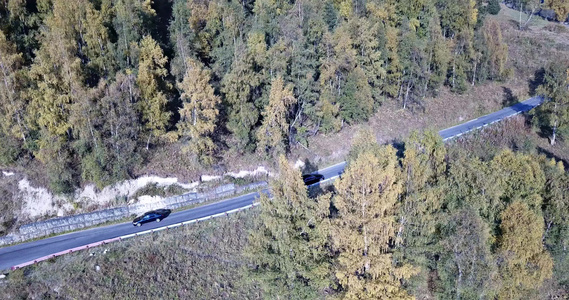 汽车在森林的一条路上行驶空中飞行视频
