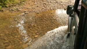 车经过浅水河在奈帕尔国家狩猎公园森林7秒视频