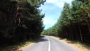 山林路上的体育运动第一视角车秋黄青松树和黄色绿松树28秒视频