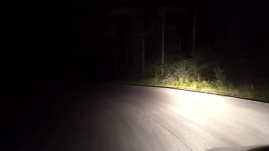 4K在夜间黑暗的道路上驾驶汽车晚上在交通中行驶的司机视频