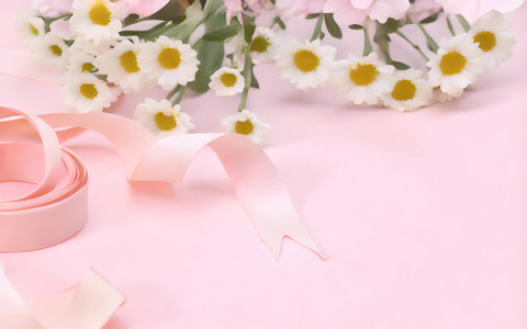 粉色雏菊丝带背景元素留白视频