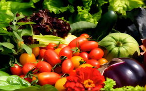 蔬菜水果及花卉4秒视频