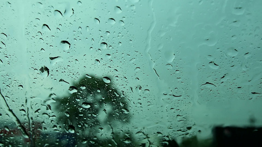 在路旁停车的司机车因为雨下着大风和外面模糊的树视频