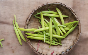 黄花菜4秒视频