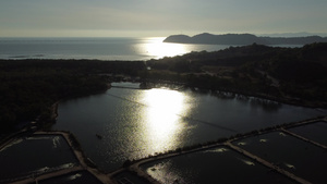 夕阳观景水产养殖养鱼场17秒视频