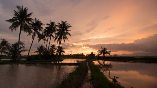 椰子岛日落的时光视频