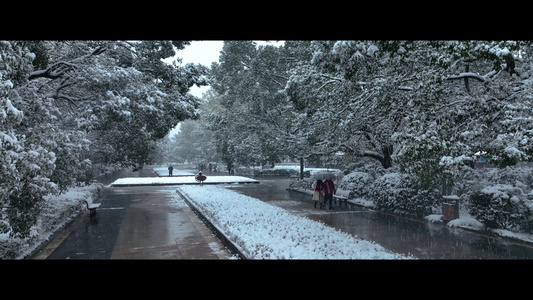 雪景下雪人物散步视频