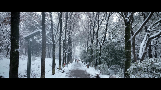 雪景下雪冬天视频