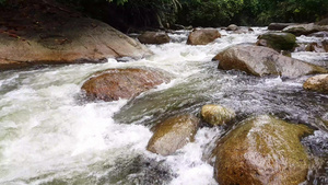 顺着南海的流水16秒视频