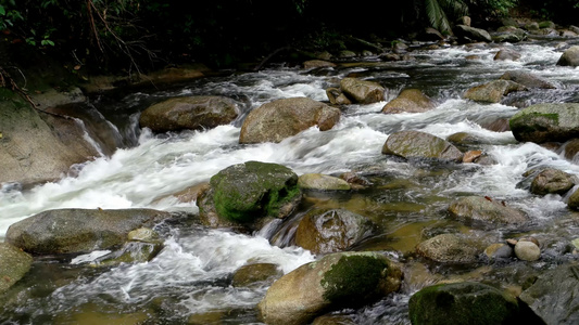 雨林雨林的河水非常凉凉和漂亮视频