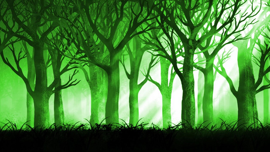 绿光童话森林素材背景视频视频