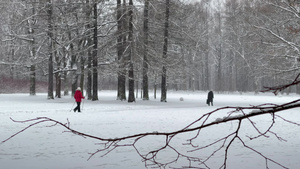 公园下雪老人拿着棍子走冬天的树人们走路从树干到透视10秒视频