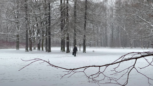 公园下雪老人拿着棍子走冬天的树人们走路12秒视频