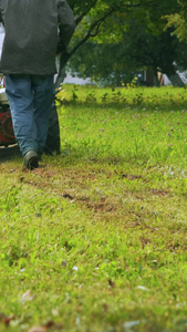 公园草坪推着除草机除草的园林工人机械化视频