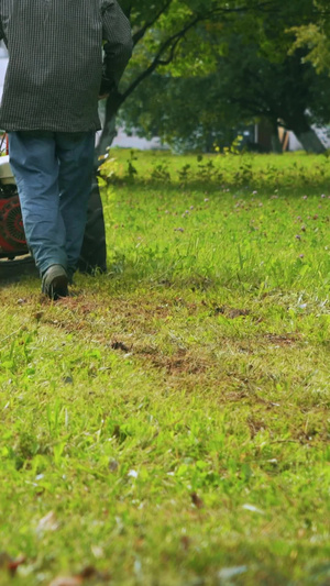 公园草坪推着除草机除草的园林工人机械化17秒视频