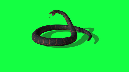 绿屏背景的动画活性皮松蛇视频