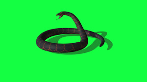 绿屏背景的动画活性皮松蛇21秒视频